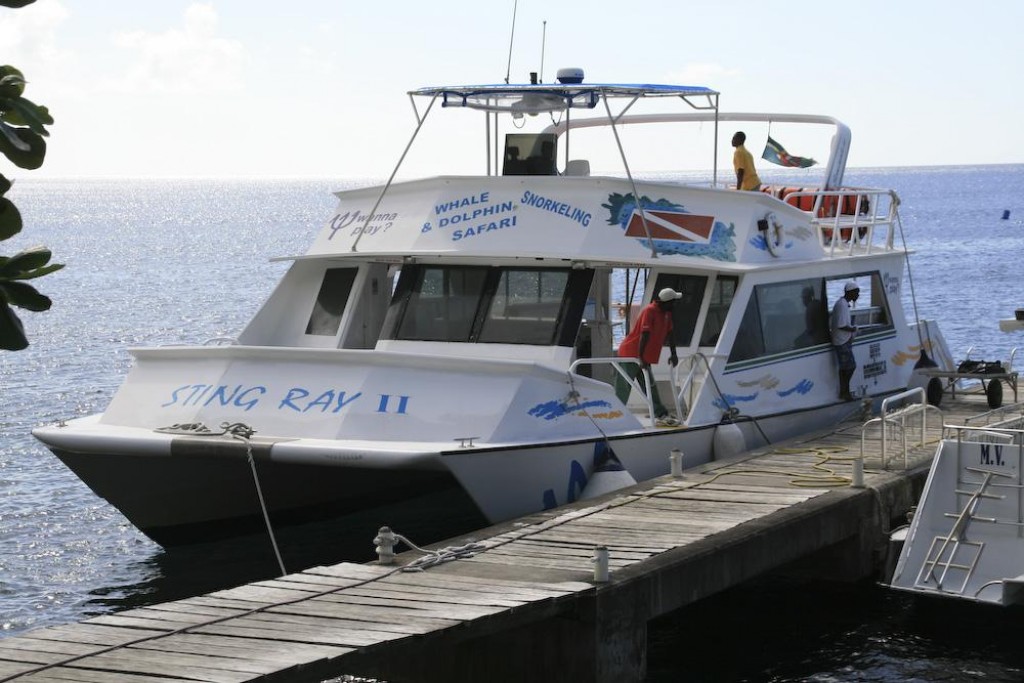 We went whalewatching with Dive Dominica.  This is the boat we went out on (it's a former Club Med boat)